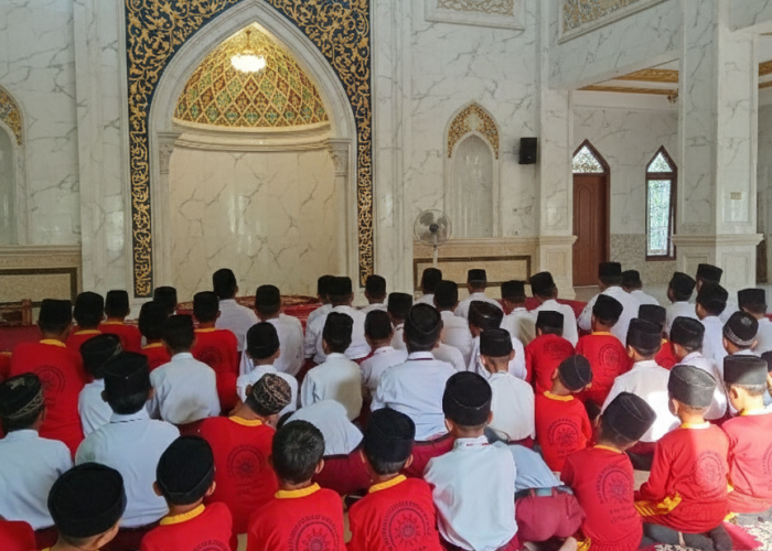 Gemini_Generated_Image_pcrtkfpcrtkfpcrt