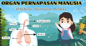 Screenshot 2026-01-26 at 10.51.41 AM